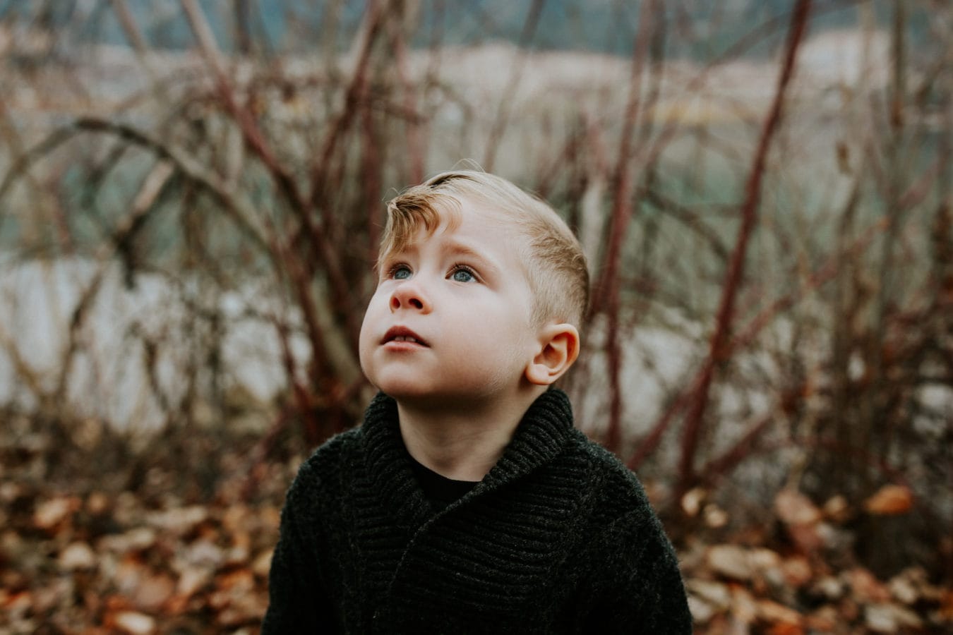 Kelowna family photography by Krista Evans
