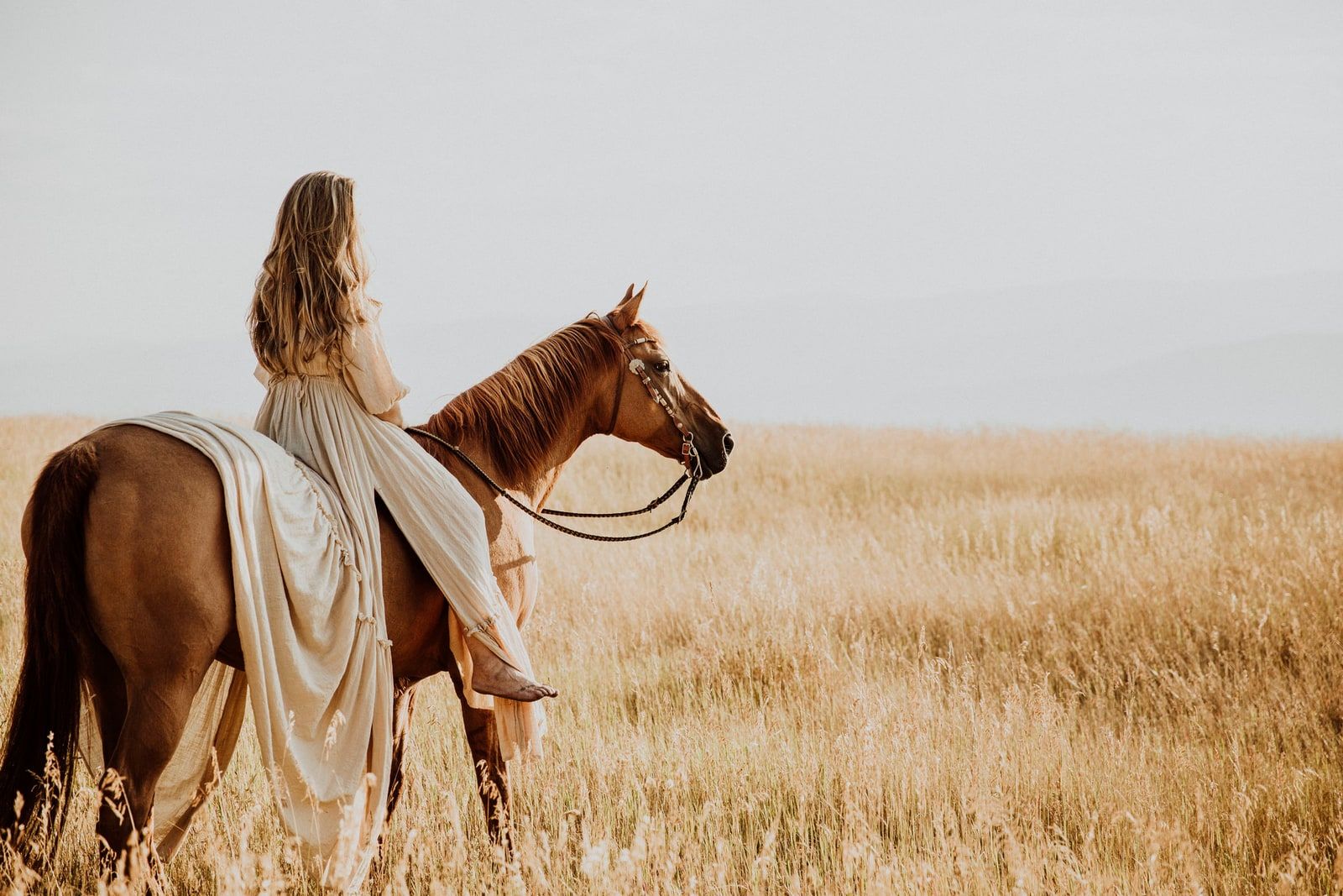 Equine photography by Krista Evans in the Okanagan
