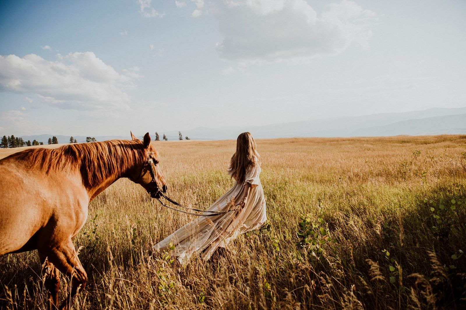 Equine photography by Krista Evans in the Okanagan