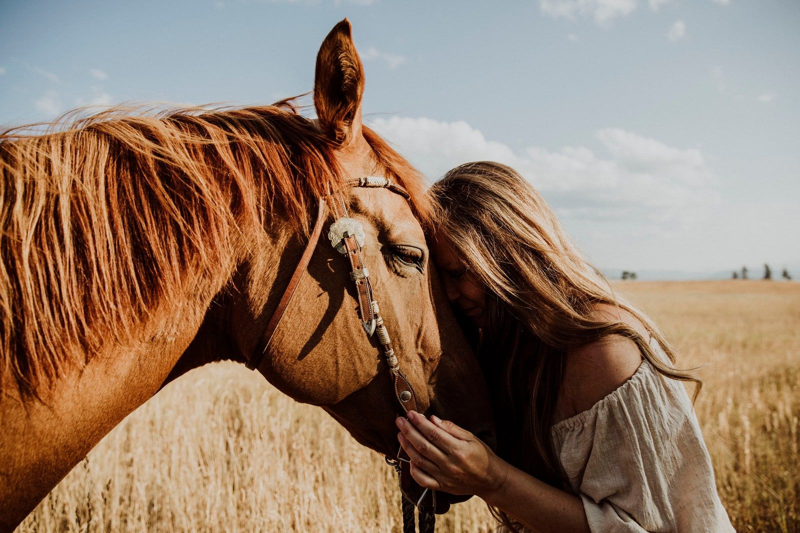 Equine photography by Krista Evans in the Okanagan