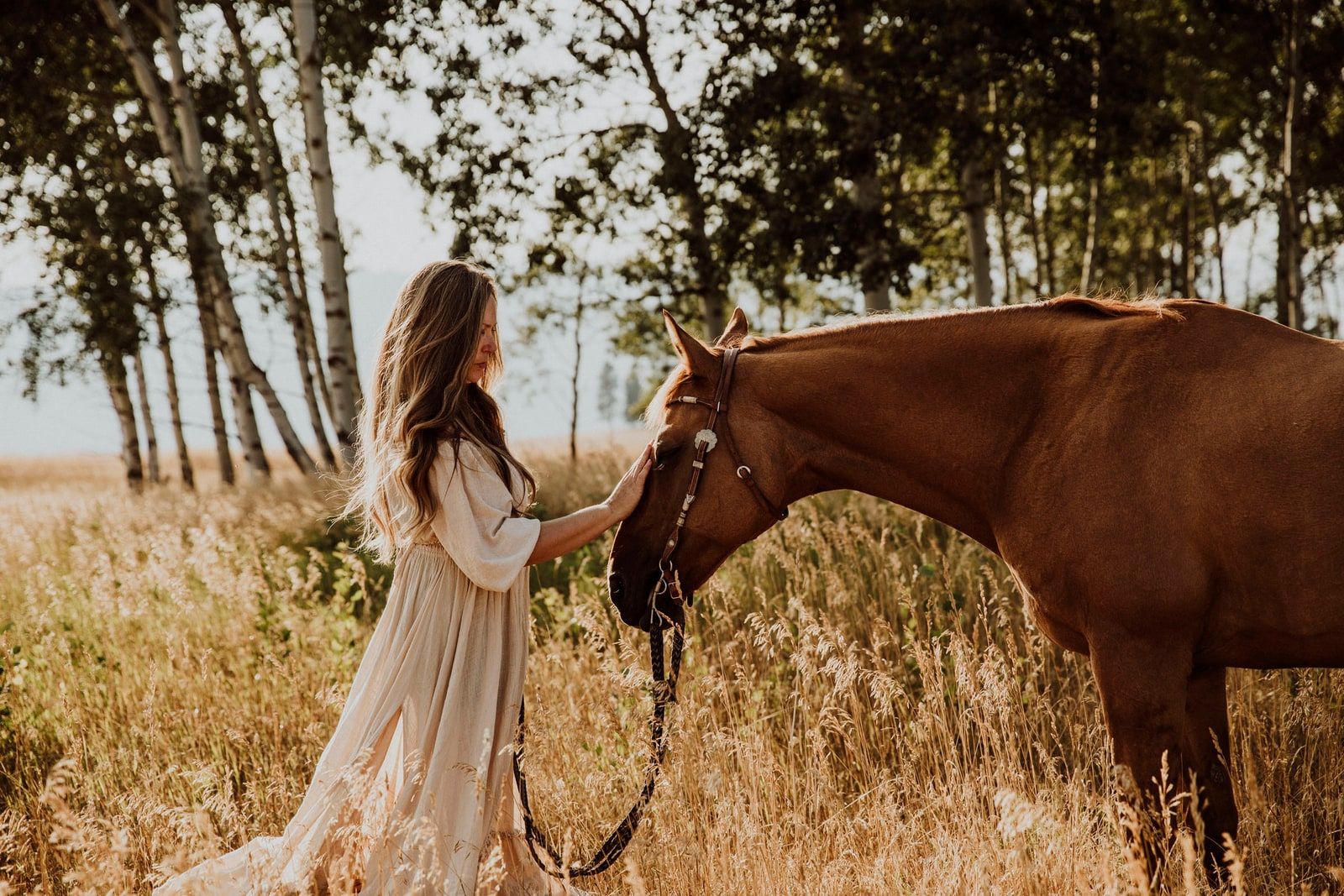 Equine photography by Krista Evans in the Okanagan
