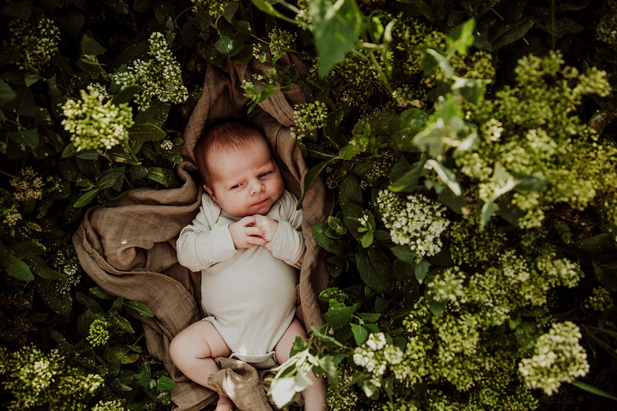 Kelowna newborn photography by Krista Evans